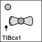 Tl.Bca azionato